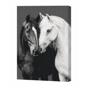 „Inima alb-negru” 40×50 cm, ECO. Pictură pe numere