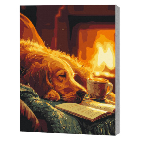 Caldura serii,40x50cm Eco,Pictura pe numere