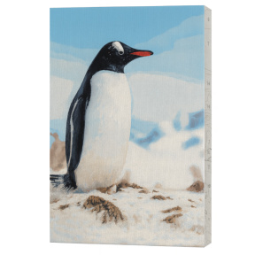 Principalul vecin al cercetatorilor polari,40х50см Eco,Pictura pe numere