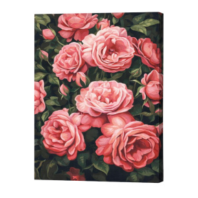 Tufă parfumată de bujori 40×50 cm Eco. Pictură pe numere