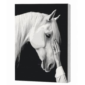 „Miraj alb” 40×50 cm, ECO. Pictură pe numere