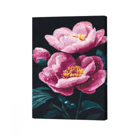 Prospețimea dimineții 40×50 cm Eco. Pictură pe numere