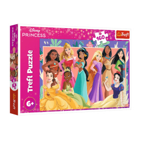 Пазлы "160" - Real princesses / Disney Princess