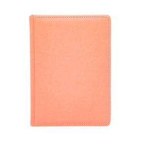 Agenda А5 2027  IDEE Standart "Aesthetic Coral"