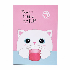 Carnet p/u copii in cutie cu lacatica 18060 Cat