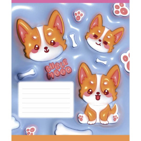 Caiet 12 foi linie oblică Shkolyarik Buble mood