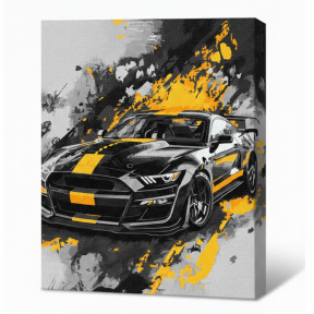 Stil sportiv, 30x40 cm, pictură pe numere