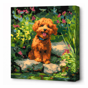 Pudel pe lac, 40x40 cm, pictură pe numere
