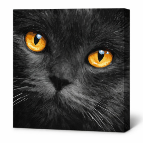 Ochi aramii, 40x40 cm, pictură pe numere