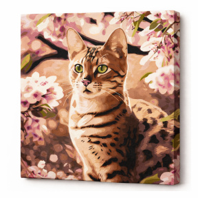 Motănaș în grădina, 40x40 cm, pictură pe numere