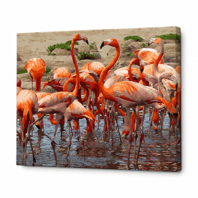 Flamingo în savană, 40x50 cm, pictură pe numere