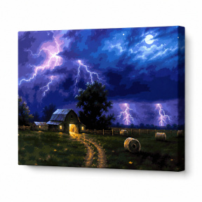 Furtună de vara, 40x50 cm, pictură pe numere
