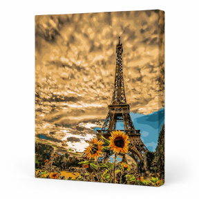 Zi de vara la Paris, 40x50 cm, pictură pe numere