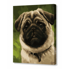 Mops drăgălaș, 30х40 cm, pictură pe numere