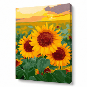 Floarea-soarelui, 30х40 cm, pictură pe numere