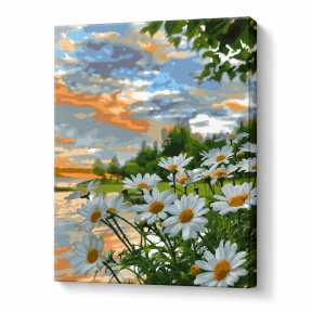 Margarete lângă lac, 30х40 cm, pictură pe numere