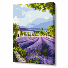 Doua lumi ale Provence 2, 30x40cm, pictura pe numere