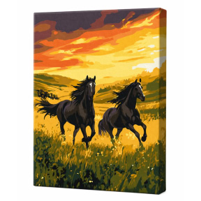 Serie fara infrangere, 30x40cm, pictura pe numere