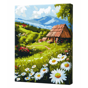 Сельский комфорт, 30x40 см , картина по номерам