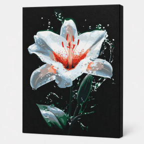 Stralucirea lui Lili, 30x40cm, pictura pe numere