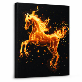 Cal,  40x50cm, pictura pe numere