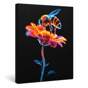 Nectar neon,  40x50cm Black, pictura pe numere