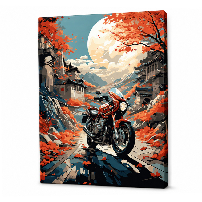 Motocicletă într-un oraș istoric, 40x50 cm, pictură pe numere