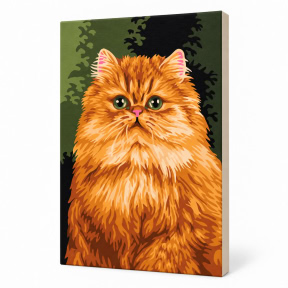 Pisica rosie, 20x30 cm, Pictura pe numere