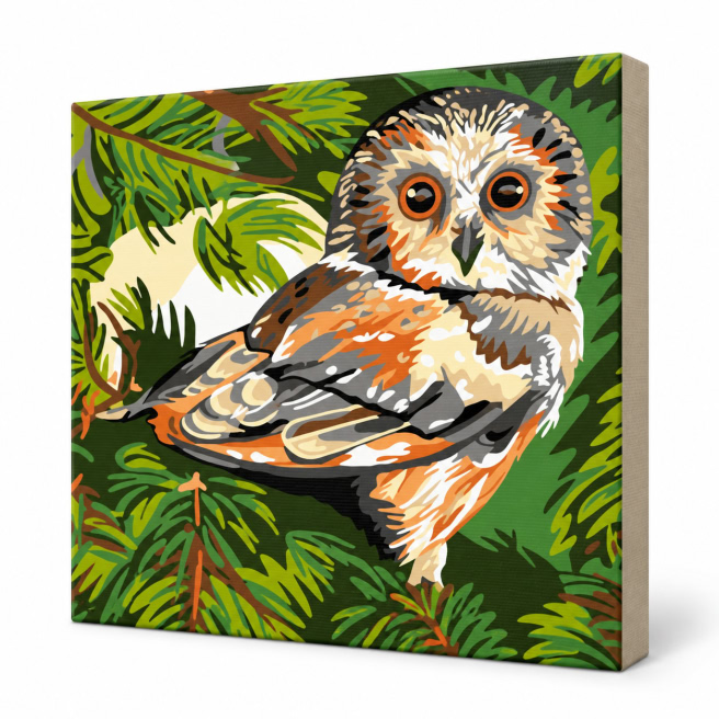 Bufnita mica, 20x30 cm, Pictura pe numere