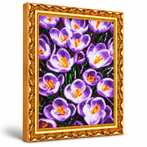 Branduse, 30x40 cm, Mozaic cu diamante