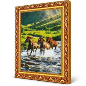 Свободолюбивые мустанги, 40x50 см, Алмазная мозаика