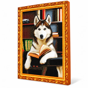 Хаски и книга, 40x50 см, Алмазная мозаика