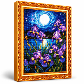 Irisi la luna plina , 40x50 cm, Mozaic cu diamante
