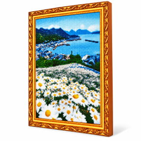 Ромашки на склоне холма, 40x50 см, Алмазная мозаика