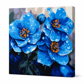 Violete in fiecare dimineata, 30x30cm, Pictura pe numere