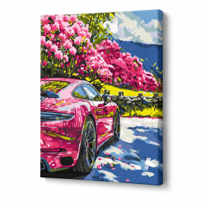 Miscare in culoare, 30x40cm, Pictura pe numere