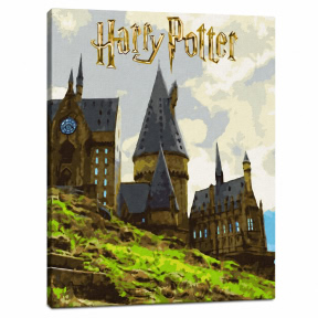 Harry Potter: Peisajul Hogwarts cu vopsele metalice, 40x50cm, Pictura pe numere