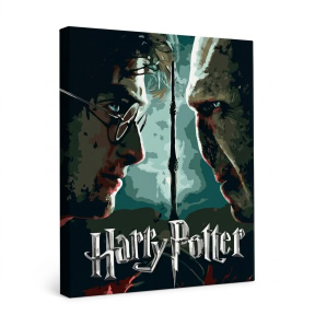 Harry Potter: Harry si Voldemort cu vopsele metalice extra, 40x50cm, Pictura pe numere