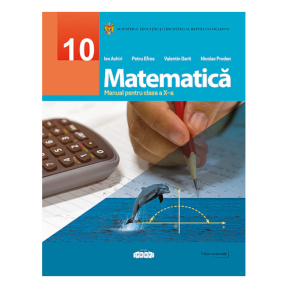 Matematica cl.10. Manual