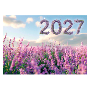 Настенный календарь 2027 года 3-х секционный, Лавандовое поле