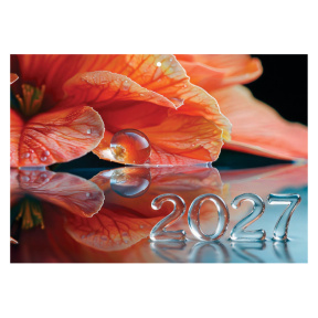 Calendar de perete anul 2027 în 3 secțiuni, Rouă de pe petală