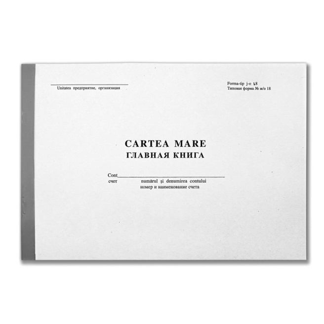 Бухгалтерская книга "Cartea mare" forma tip-308, 50 листов, белый офсет