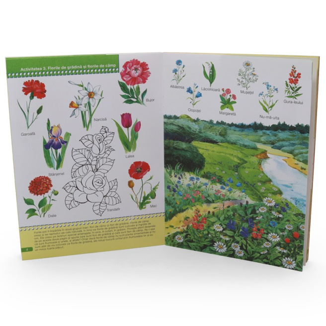 Studiez natura 3-4 ani